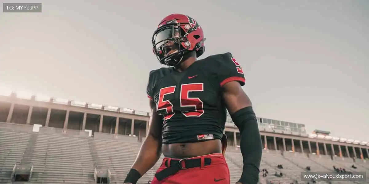 高清直播,锁定每一刻精彩!📺